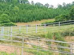 株式会社河野牧場