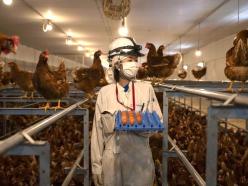 株式会社トマル