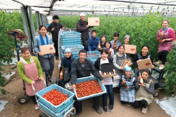 キラリ!みやぎの農業体験ツアー【農業体験コース①】参加者募集