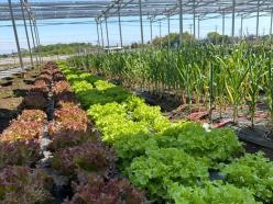 EGファーム株式会社