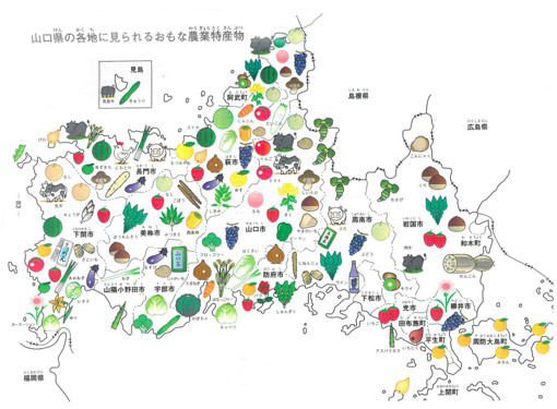 山口県の各地で見られるおもな農業特産物