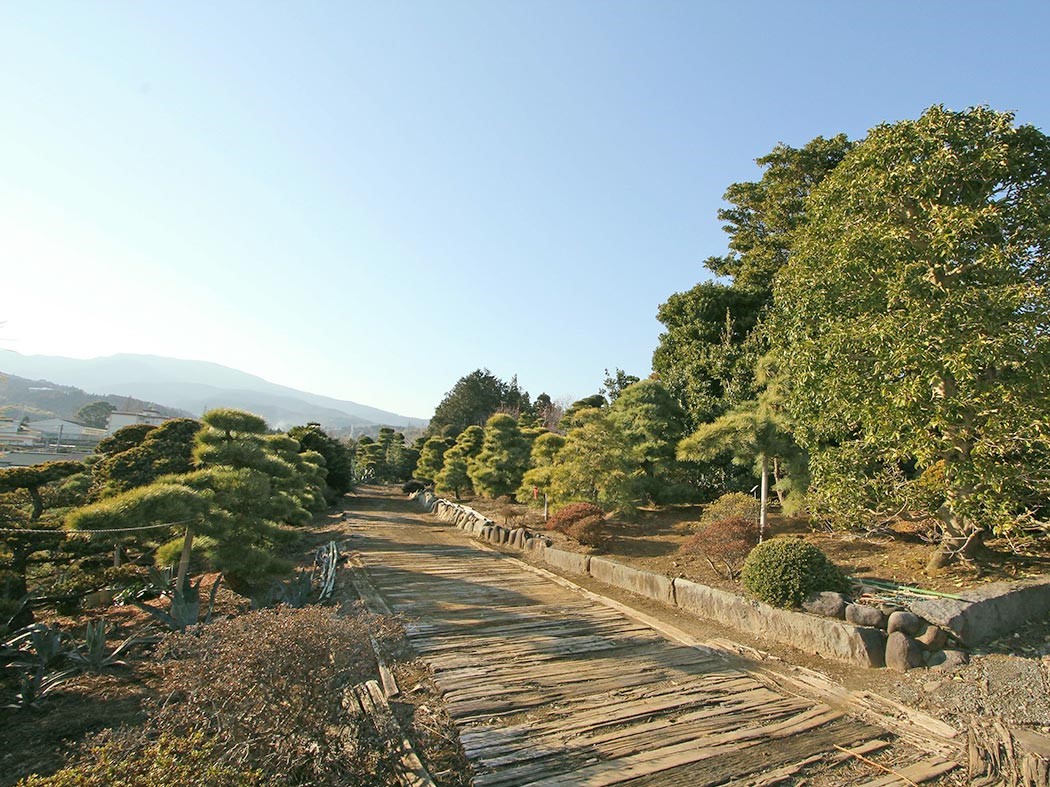 有限会社小田原植木 農家のおしごとナビ