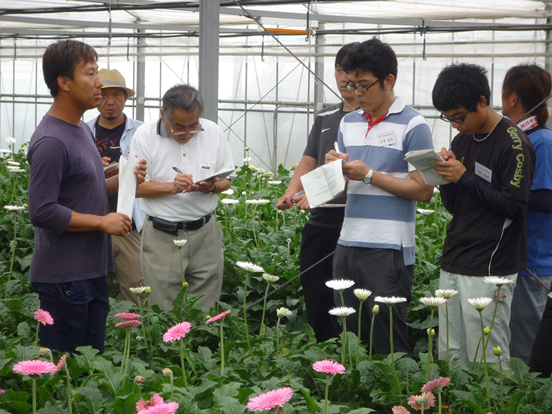 長崎県で農業を始めませんか あなたの就農を応援いたします 農家のおしごとナビ