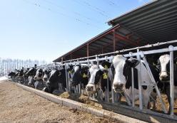 株式会社納牧場（6月までの期間限定アルバイト募集）